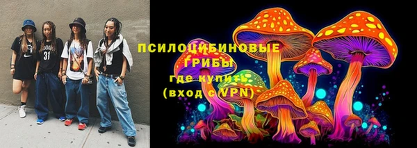 трава Снежногорск