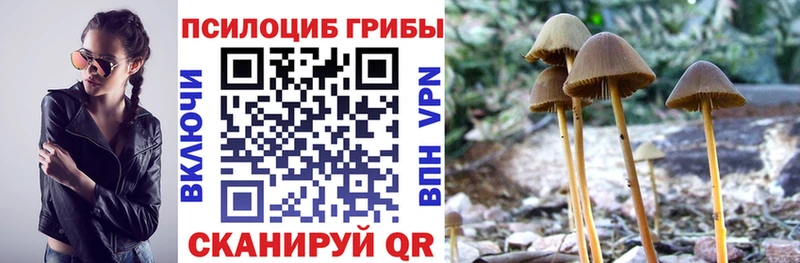 где можно купить   Пересвет  Галлюциногенные грибы Magic Shrooms 
